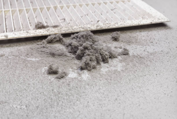 Best Affordable Duct Cleaning Services  in Nokomis, FL