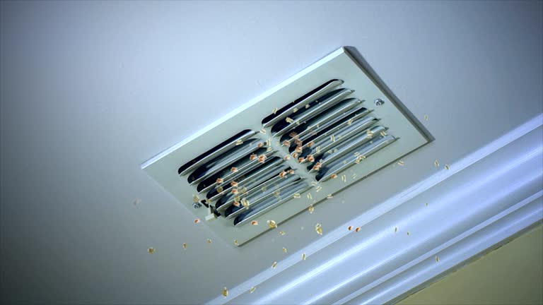 Best Air Duct Cleaning Near Me  in Nokomis, FL
