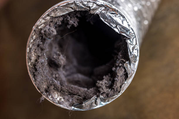 Best Best Air Duct Cleaning Company  in Nokomis, FL