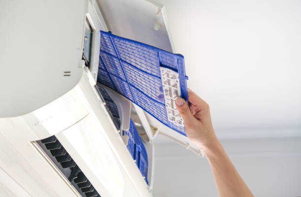 Best HVAC System Cleaning  in Nokomis, FL
