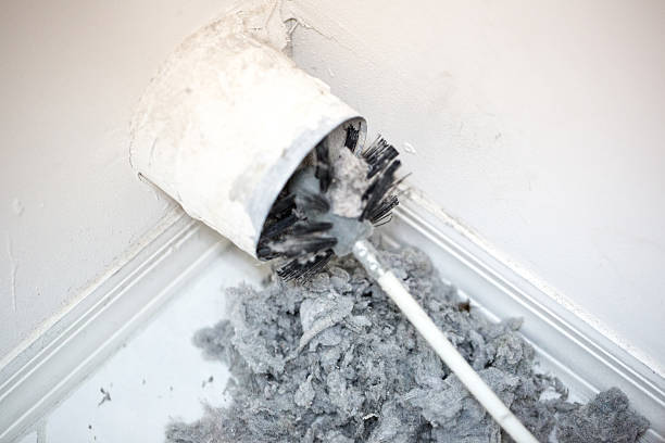 Best Ventilation Cleaning Services  in Nokomis, FL